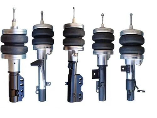 Front Left Right Struts for 1997-2002 Ford Escort