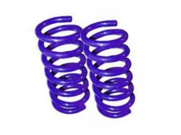 1994-2001 DODGE RAM 1500 NON-QUADCAB 8CYL Lowering Drop Coil Springs - 1 inch