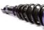 2007-2012 Nissan Sentra RS Coilover System (set of 4)