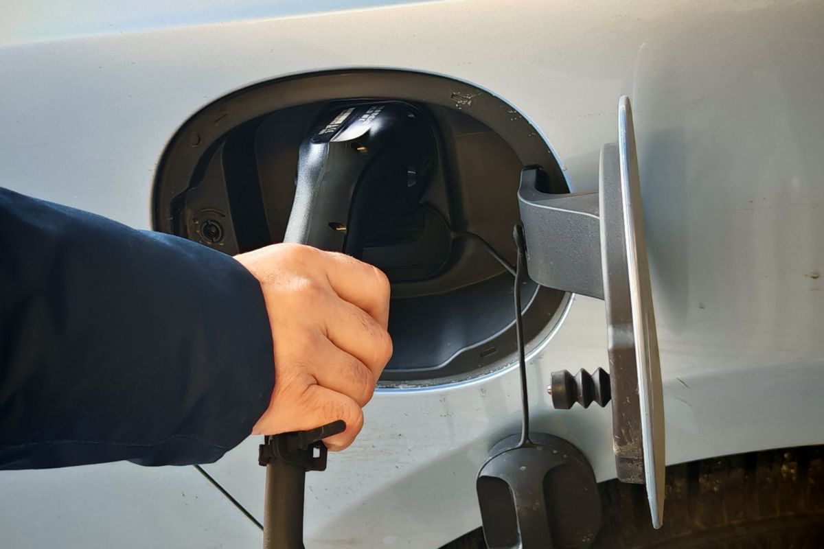 6480846130354 2025 12 10t095631.974